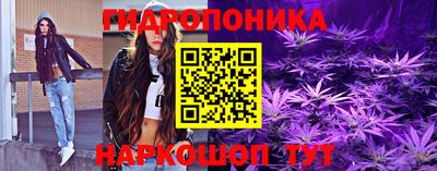 стаф Будённовск