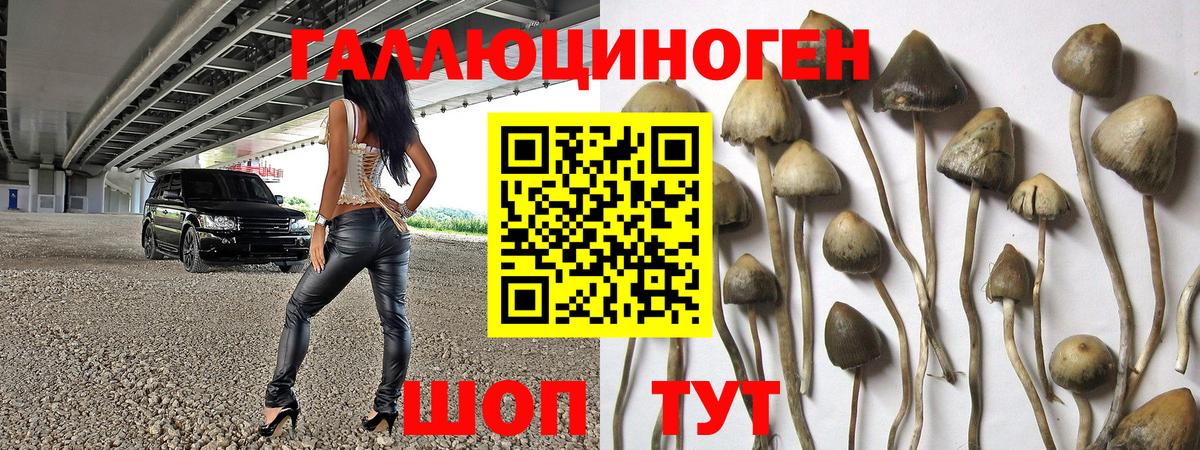 купить наркотик  Вход с VPN  Рязань  Галлюциногенные грибы Psilocybe 